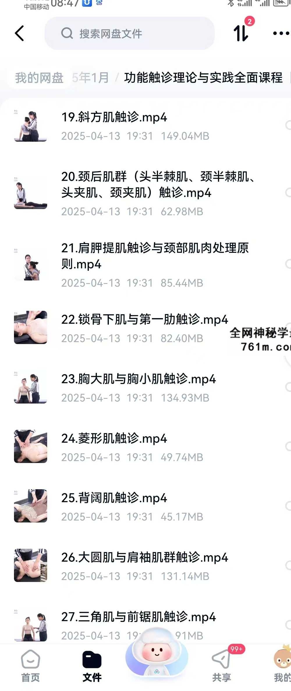 【运动康复好课】功能触诊理论与实践全面课程 全52讲视频课