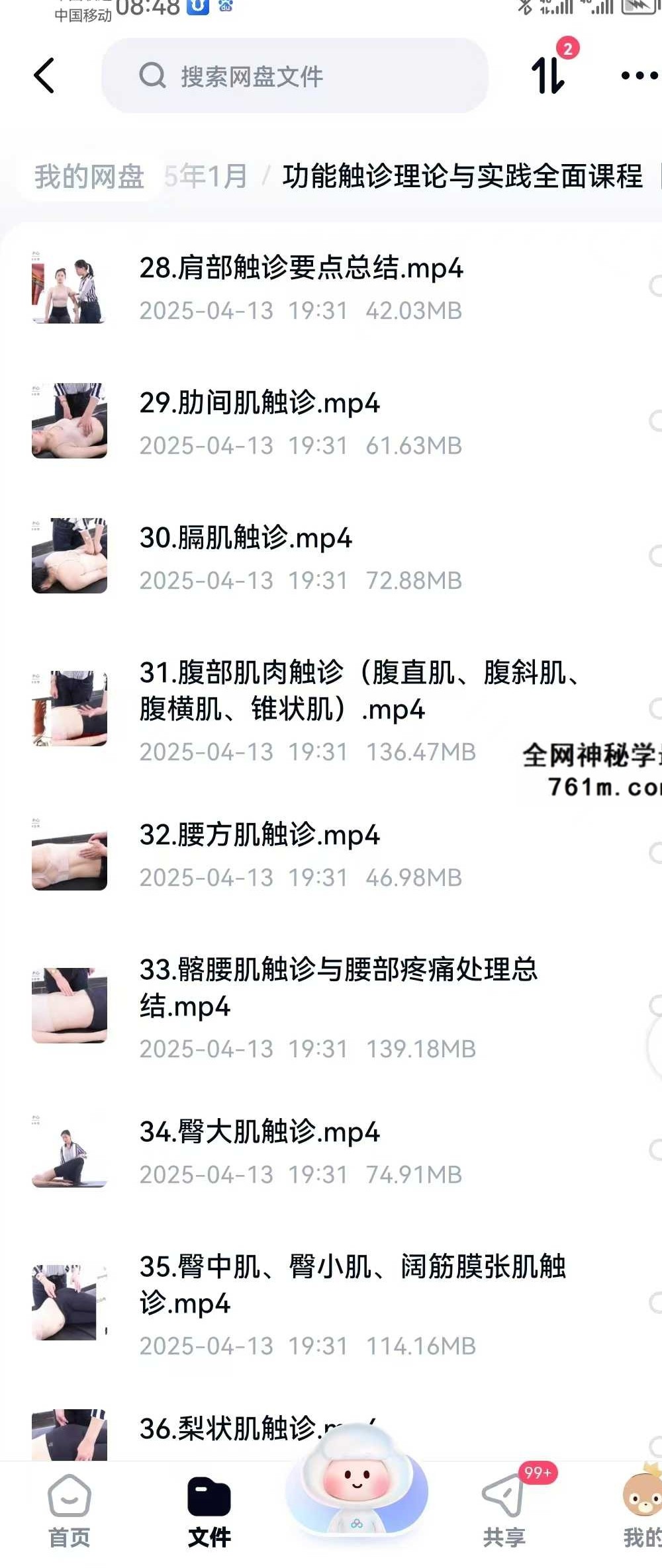 【运动康复好课】功能触诊理论与实践全面课程 全52讲视频课