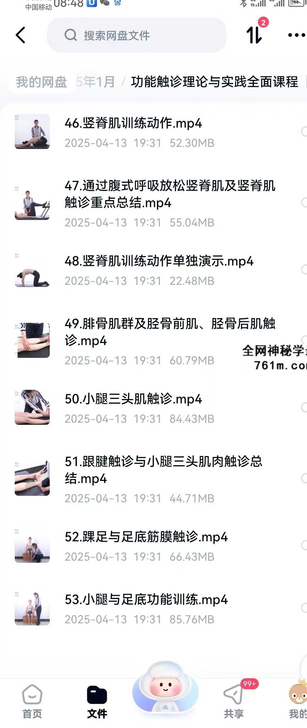 【运动康复好课】功能触诊理论与实践全面课程 全52讲视频课