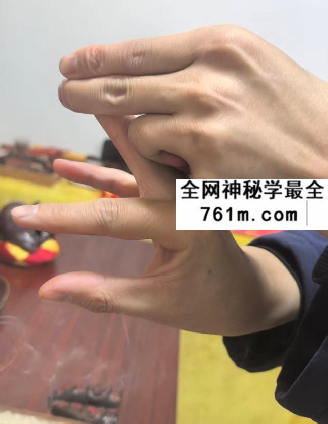 三书老师《文昌朝科+文昌灯仪一宗》视频+文档