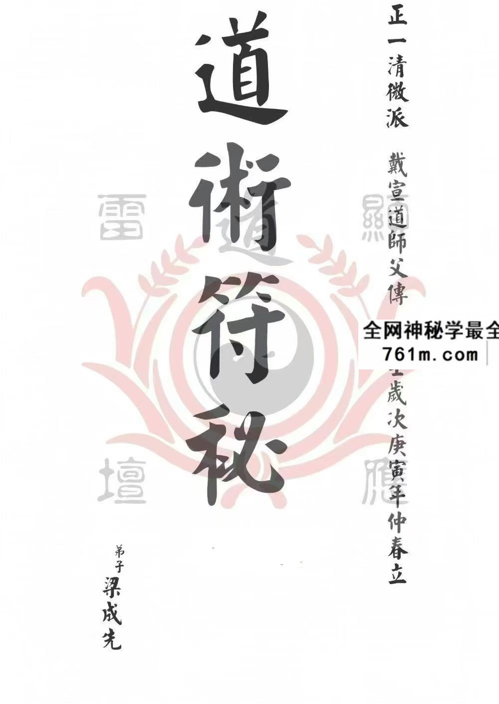 《戴家道术符秘一宗》正一清微 51页