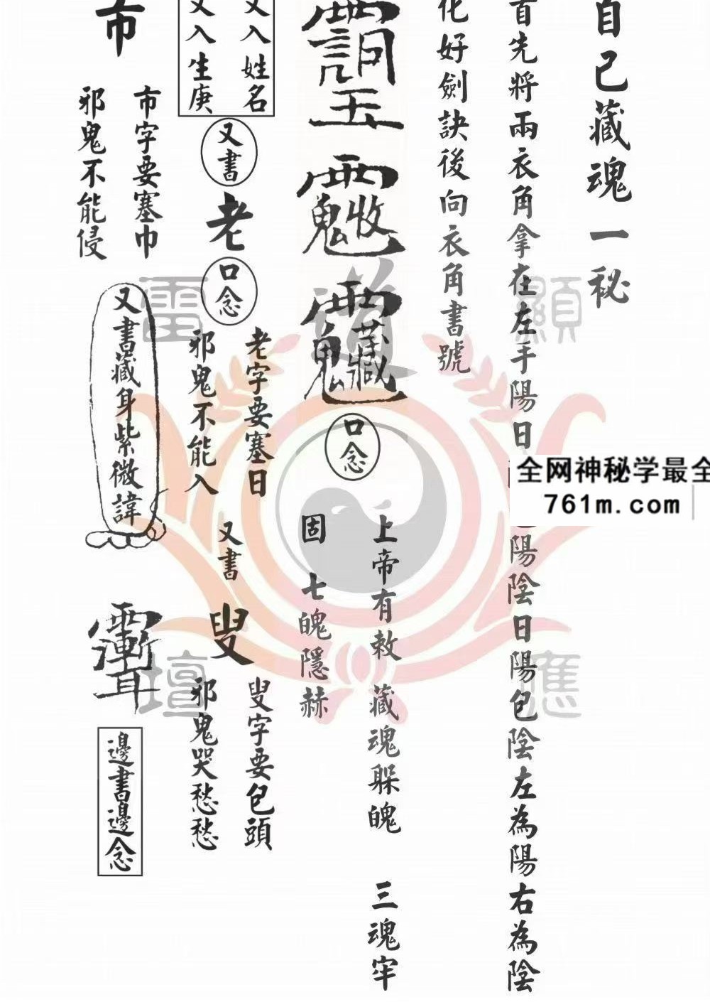 《戴家道术符秘一宗》正一清微 51页