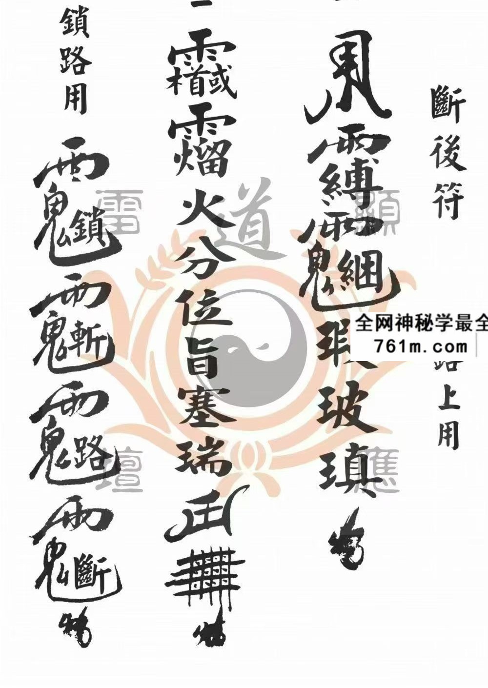 《戴家道术符秘一宗》正一清微 51页