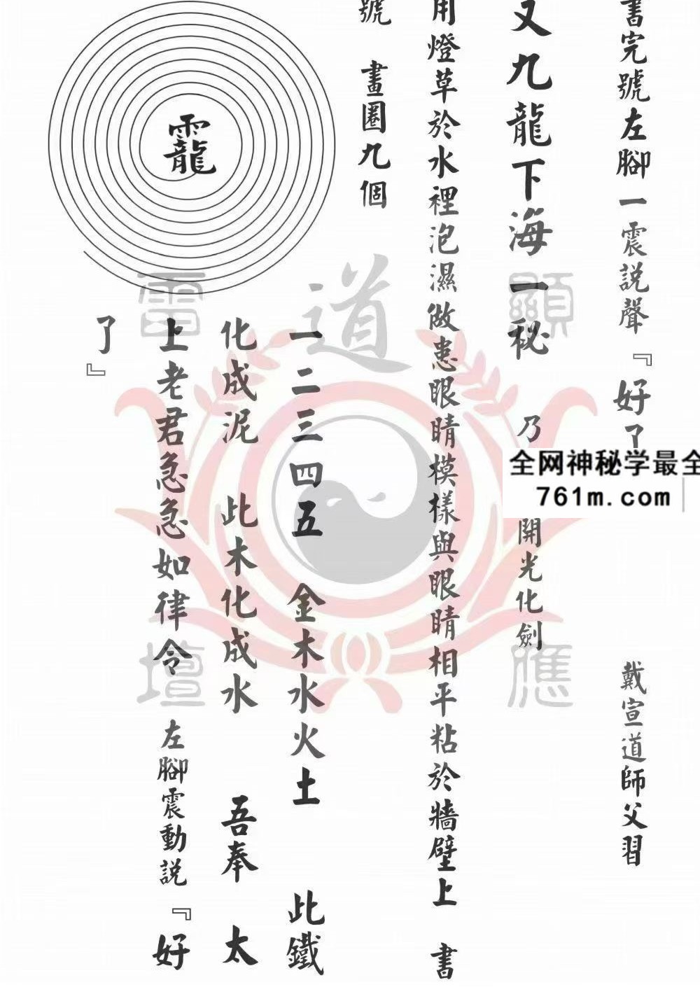 《戴家道术符秘一宗》正一清微 51页