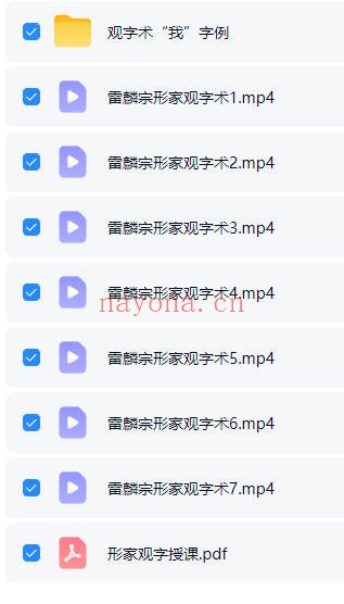 雷麟宗形家观字术7集视频+课件 形家风水
