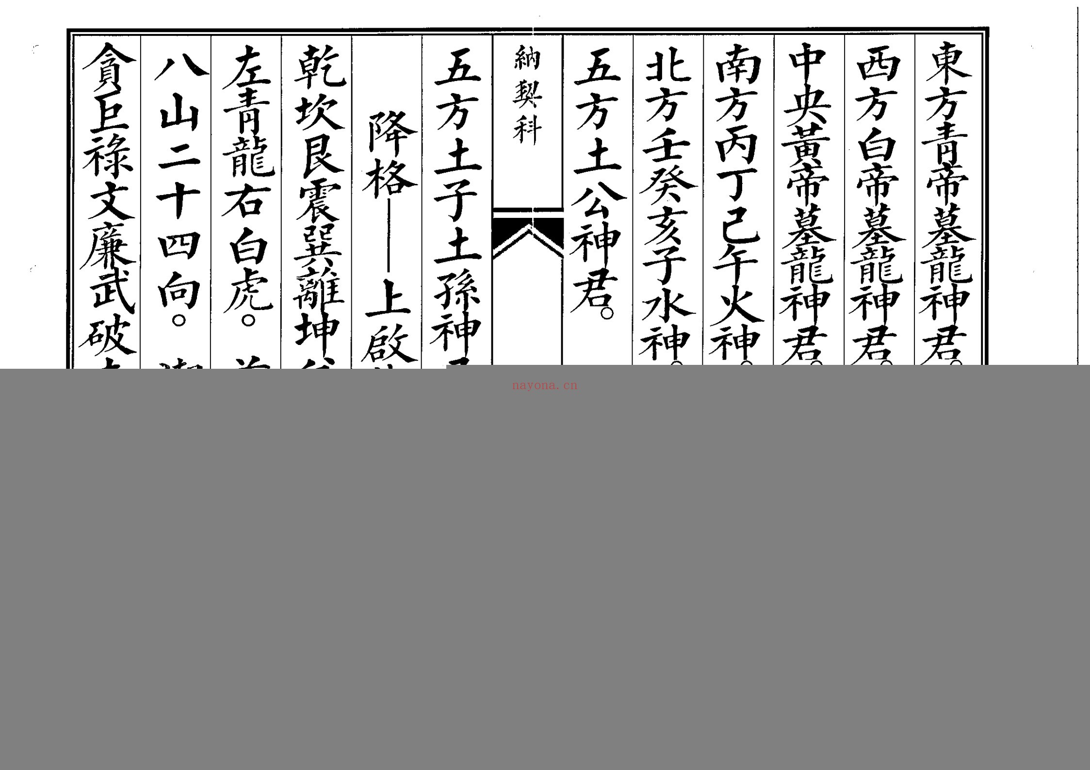 纳契科