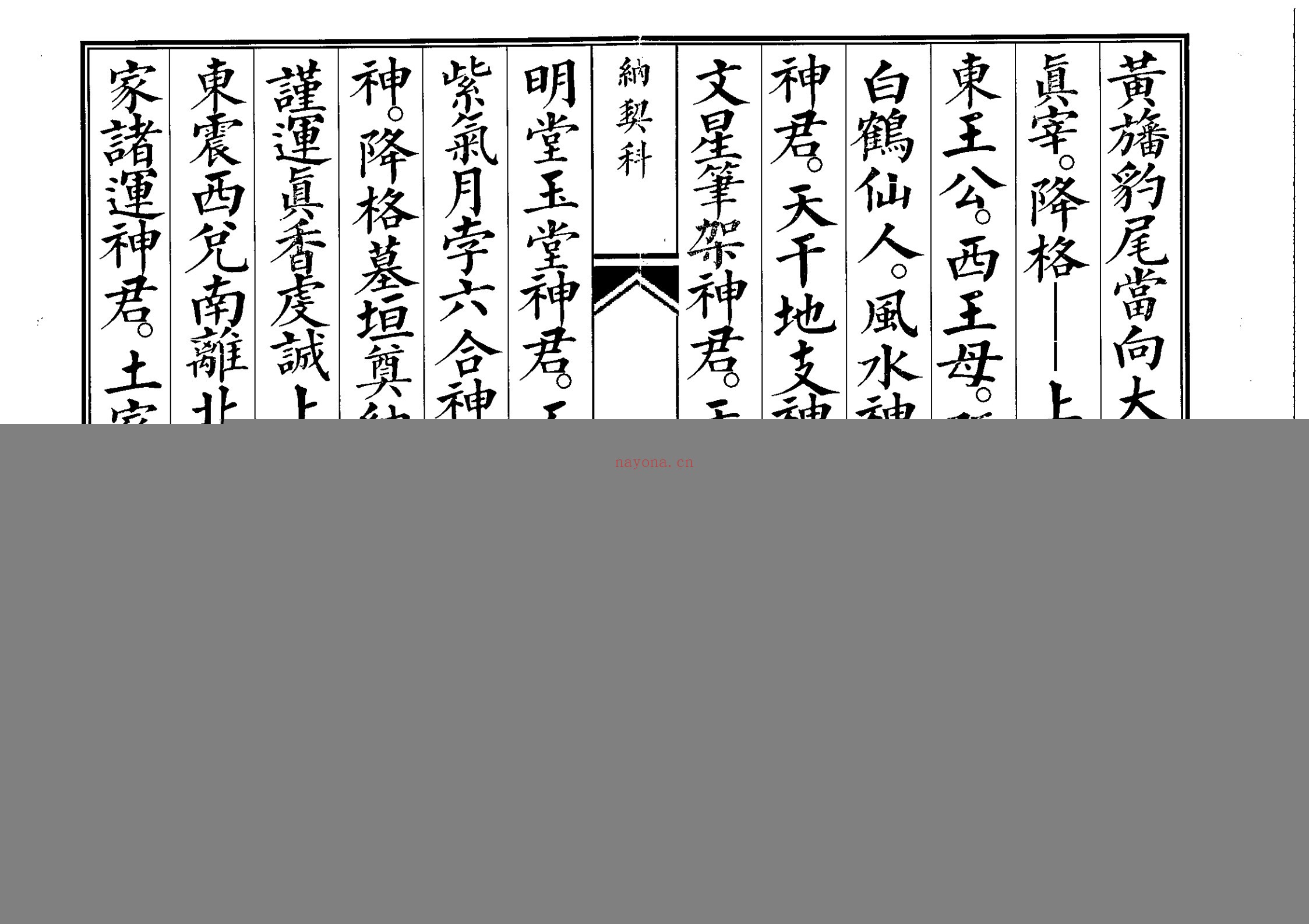 纳契科