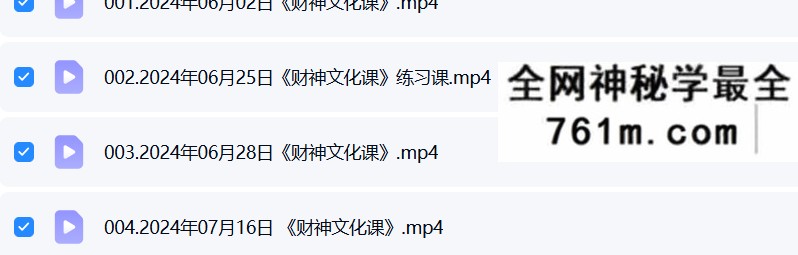 颜法坤《财神文化课》4集