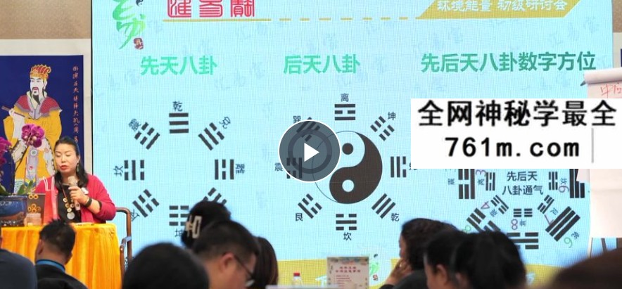 徐子辰环境能量研讨会17集