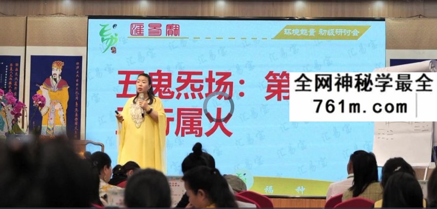 徐子辰环境能量研讨会17集