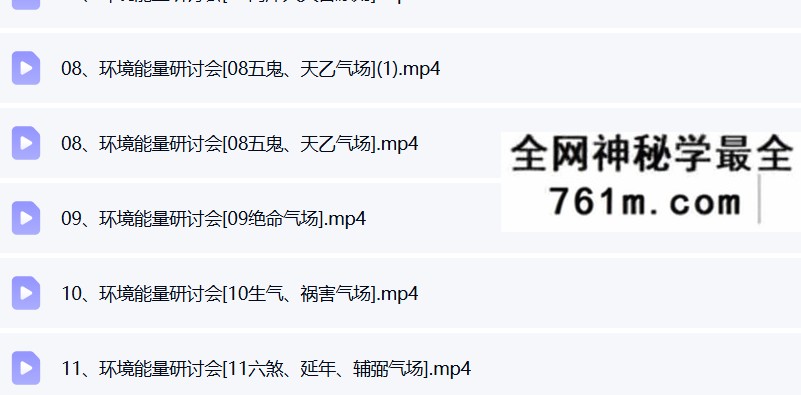 徐子辰环境能量研讨会17集