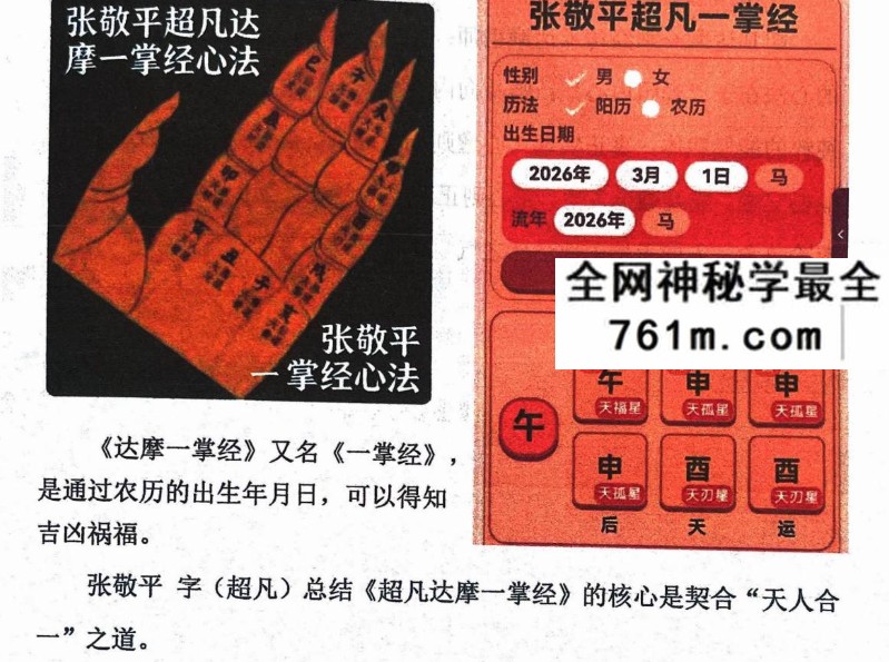张敬平《超凡一掌经》249页