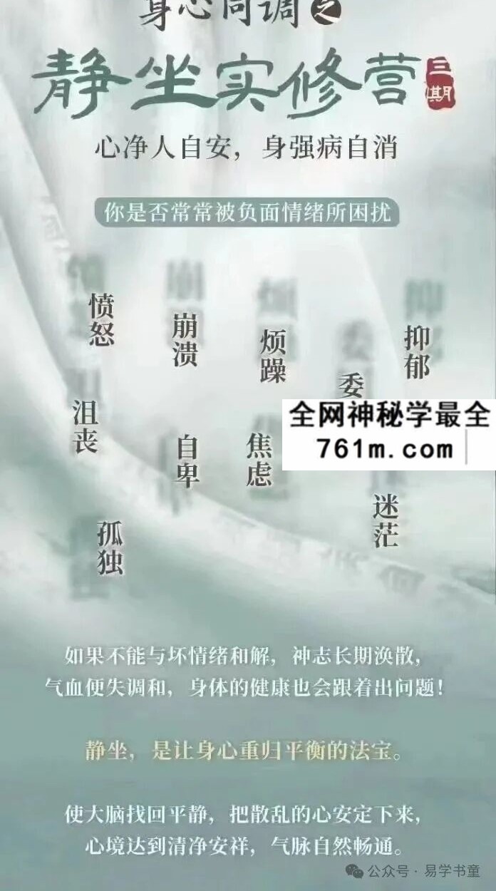 徐泊涛丨身心同调之静坐实修营（线上）三期