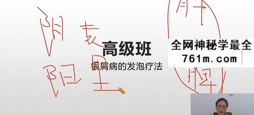 赵书曦丹溪学派秘术高级班35集