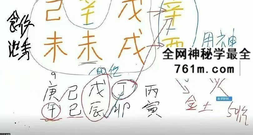 秋子八字精英班38集