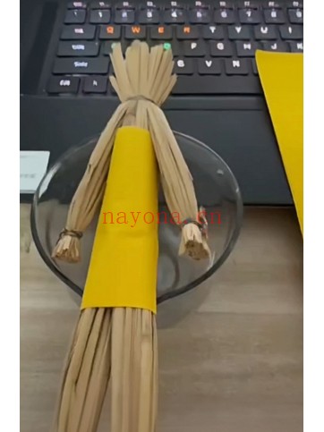 懋辰师传情蛊秘法音频+课件 情蛊秘法