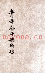 青年奋斗与成功