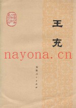 王充