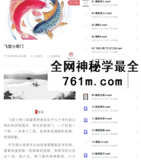 武雨桐飞宫小奇门15集
