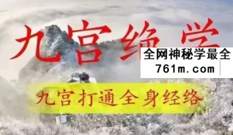 回春 九宫绝学 视频13集