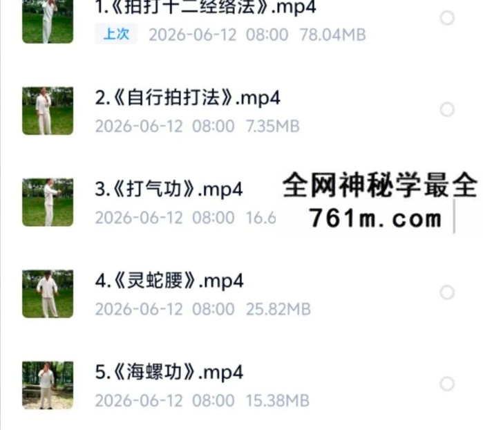 回春 九宫绝学 视频13集