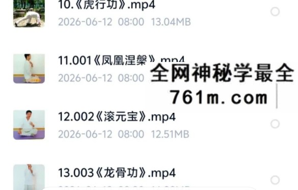 回春 九宫绝学 视频13集