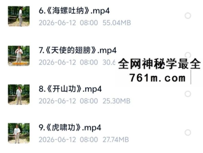 回春 九宫绝学 视频13集