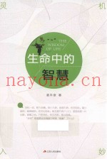 生命中的智慧