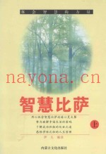 体会智慧的力量  智慧比萨  上