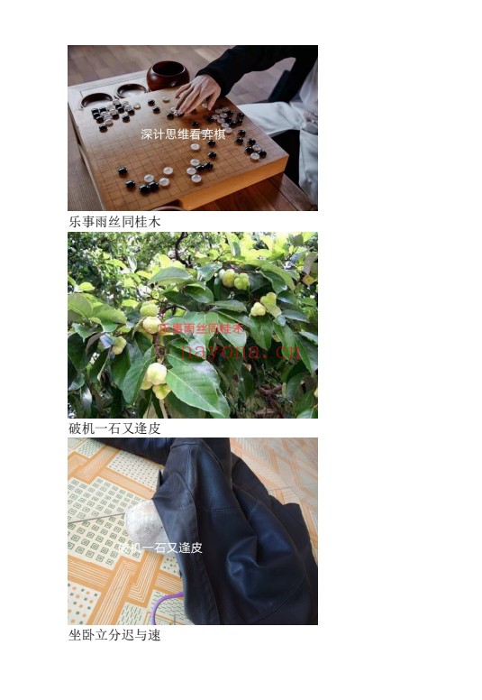 家传外应歌诀PDF 外应占卜