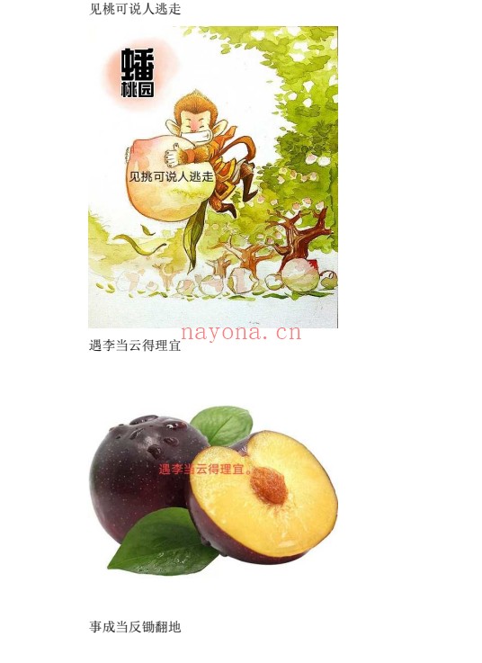 家传外应歌诀PDF 外应占卜