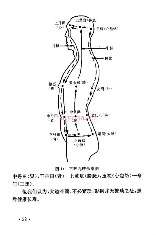 朱金才彭祖养生长寿之术244页PDF 养生秘法