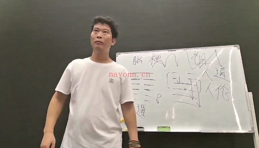 王镜贺抽爻换象27集视频 玄空风水