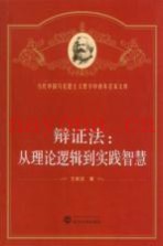 辩证法  从理论逻辑到实践智慧