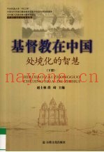 基督教在中国  处境化的智慧  下