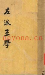 左派王学
