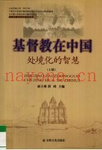基督教在中国  处境化的智慧  上