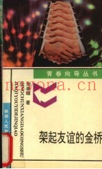 架起友谊的金桥