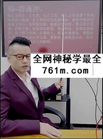 夏光明 李晋宇《地支九大关系详解之凶灾疾病意外灾祸》5集视频