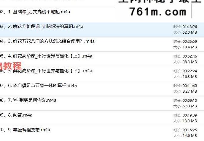 鲜花总课_ 从【鲜花小白】到【3D的超级玩家】录音10集