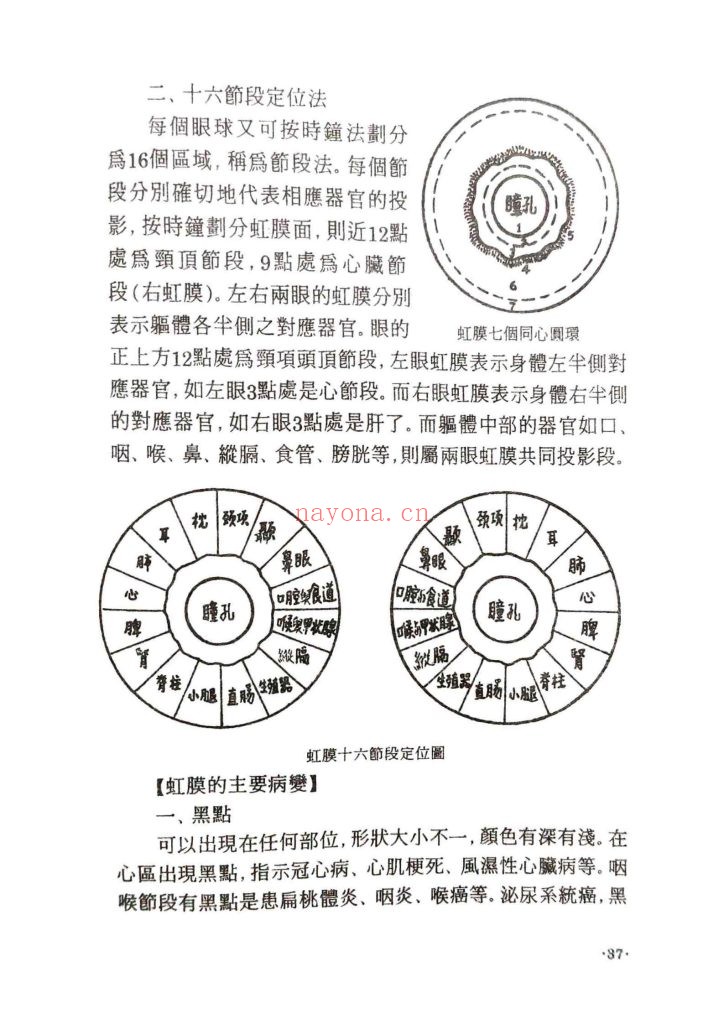 《中医全息诊疗术》高鹤亭 9