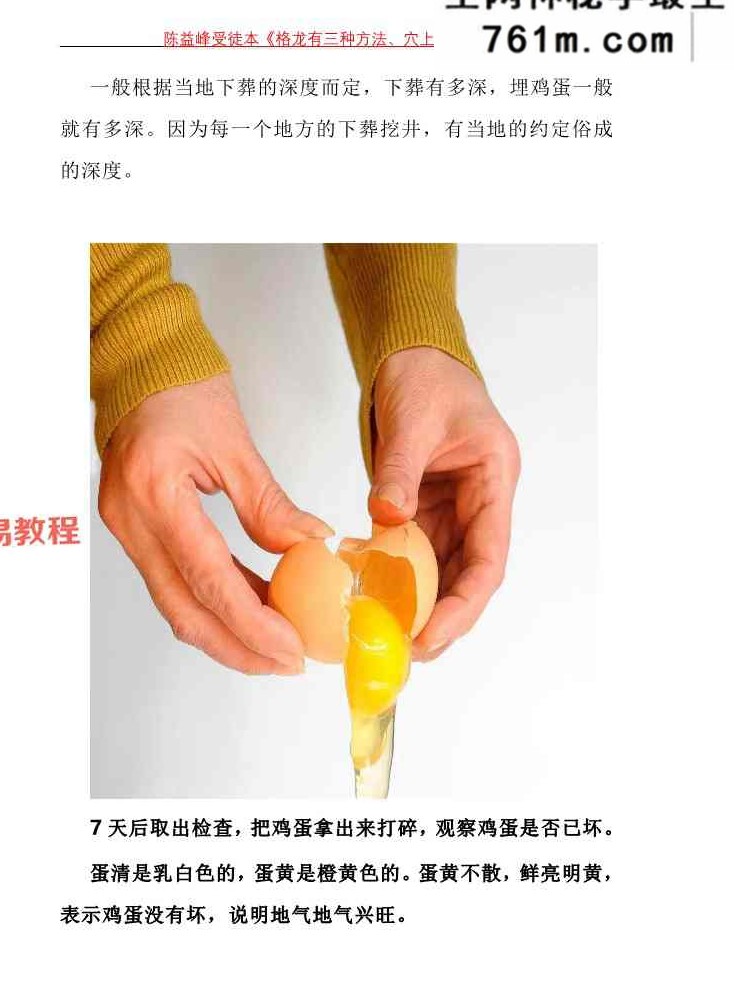 陈益峰受徒本《迁坟下葬，地理专业的操作+格龙有三种方法、穴上格龙法》2本pdf 百度云