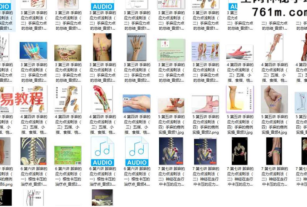 【温谱成】《手脚麻木应力点特效疗法》网络班 录音+课件