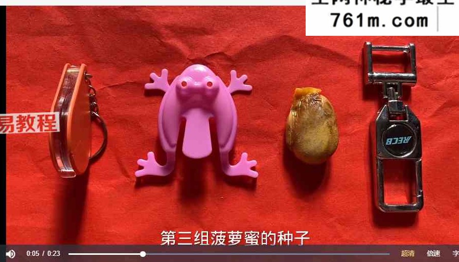 L六度无极充电视频最新多套