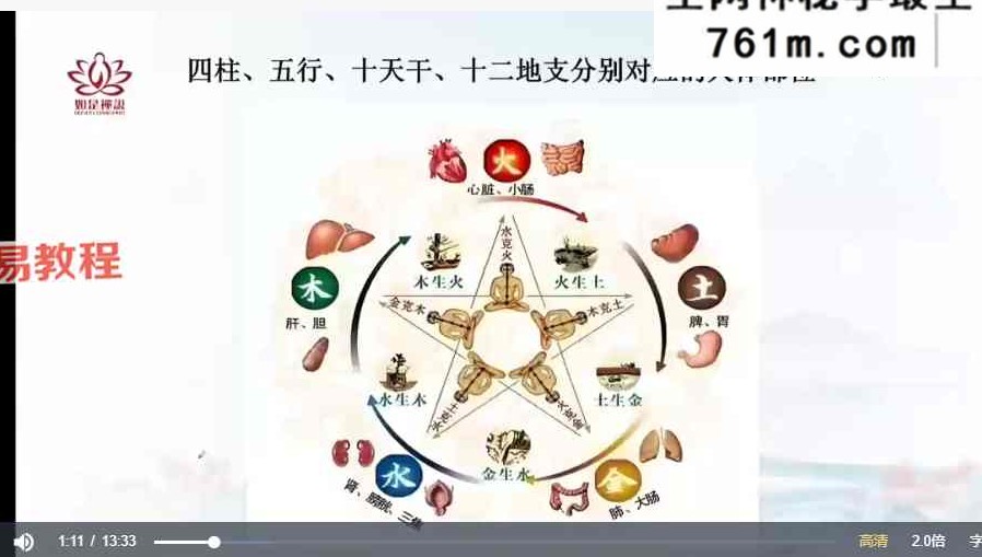 如是禅说 八字精批健康 视频44集