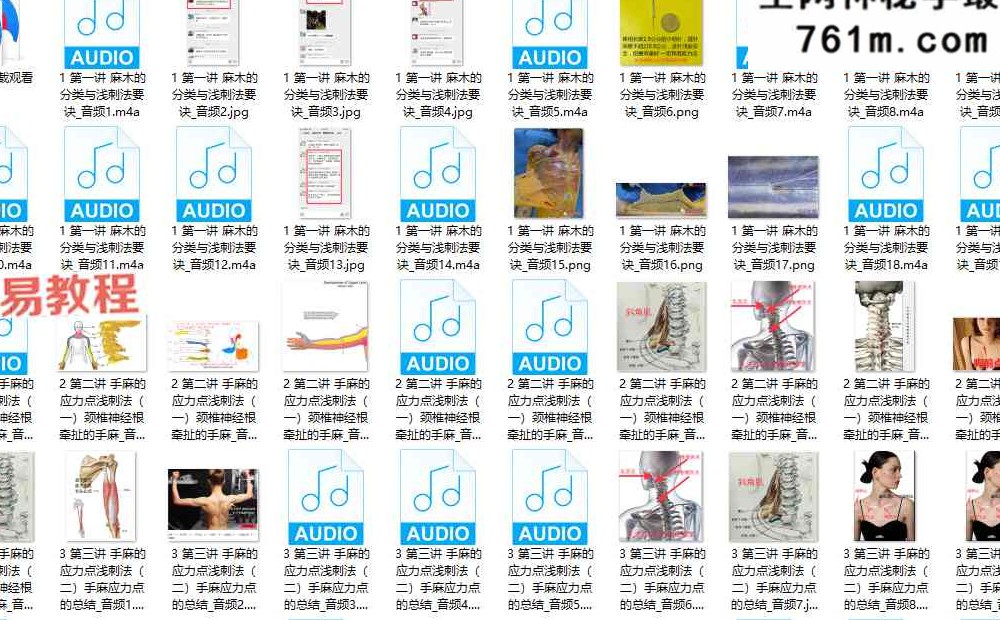 【温谱成】《手脚麻木应力点特效疗法》网络班 录音+课件