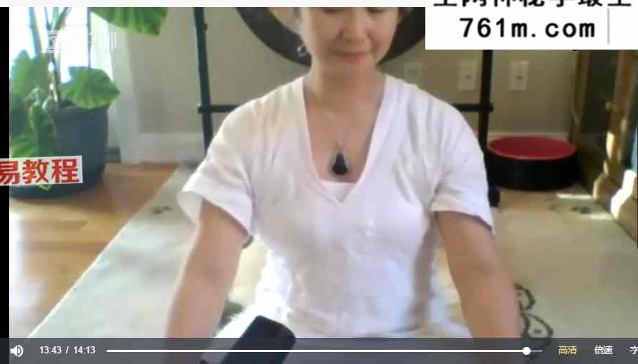 盛开胡馨老师独家课程视频80集