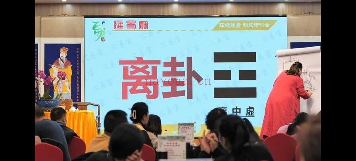 徐子辰环境能量研讨会16集视频 环境能量