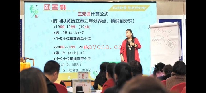 徐子辰环境能量研讨会16集视频 环境能量