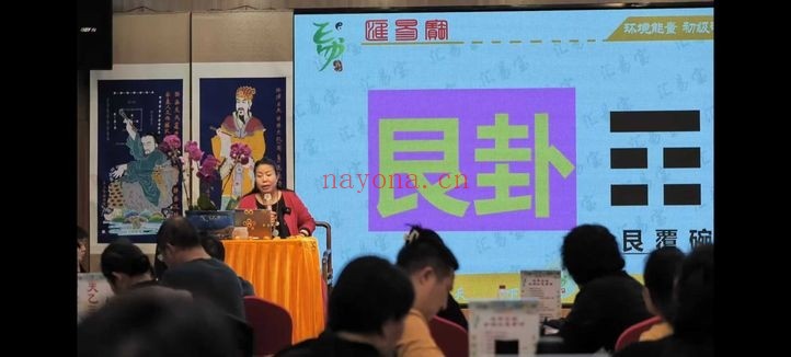 徐子辰环境能量研讨会16集视频 环境能量